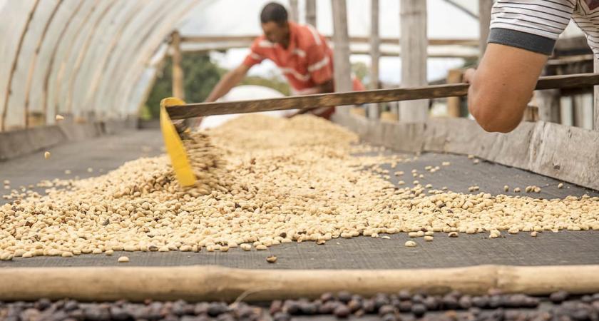 Sweet beans - Kávové zrná